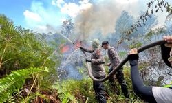 El Nino Bikin Potensi Kebakaran Hutan Berlipatganda