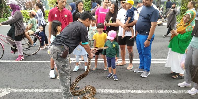 Beberapa pengunjung yang berinteraksi dengan Laksmi, sang ular sanca kembang saat di Car Free Day (CFD) Jalan Raya Darmo Surabaya, Minggu (1/6/2025).