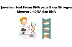 Jawaban Soal Peran DNA pada Basa Nitrogen Menyusun DNA dan RNA