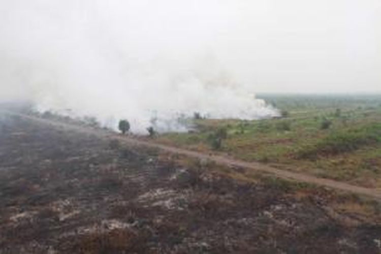 Perkebunan kelapa sawit di Kabupaten Kubu Raya, Kalimantan Barat, terlihat terbakar, Minggu (20/9/2015). Kebakaran terpantau melalui patroli udara Badan Nasional Penanggulangan Bencana.