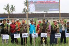 Kulon Progo Kembangkan Pertanian Bawang Merah di Lahan Pasir Pantai Selatan, Kepala DPP: Perputaran Uang Miliaran Rupiah