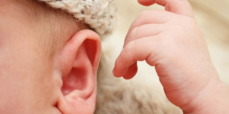 Bagian telinga yang berfungsi menangkap getaran bunyi