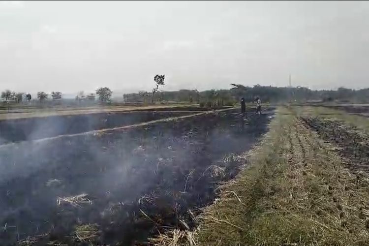 Viral Satelit NASA Deteksi Hotspot di Purworejo, Ini Penjelasan Lengkapnya