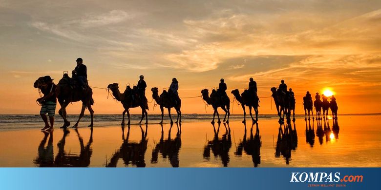Menikmati Sunset Pantai Australia di Atas Unta