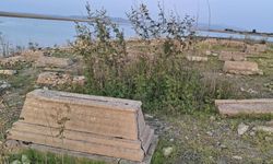 Waduk Gajah Mungkur, Proyek Raksasa Soeharto di Wonogiri
