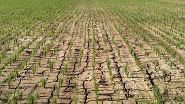 Belajar dari El Nino 2023, BPBD Jabar Petakan Lima Daerah Rawan Kekurangan Air Bersih Tahun Ini