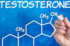 Fakta soal Hormon Testosteron Rendah, Gejala, dan Pengobatannya