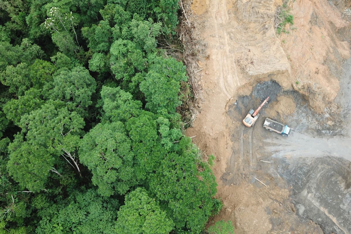 Foto udara yang menunjukan dampak deforestasi hutan di Kalimantan. Salah satu penyebab deforestasi adalah pembukaan lahan.