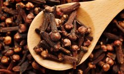 KLH Akui Belum Tahu Asal Muasal Radioaktif yang Kontaminasi Cengkih Ekspor