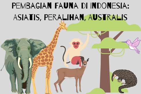 Pembagian Fauna di Indonesia: Asiatis, Peralihan, Australis