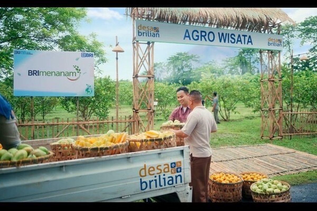 Agrowisata sebagai salah satu wujud pengembangan potensi wisata dalam program Desa BRILiaN. 