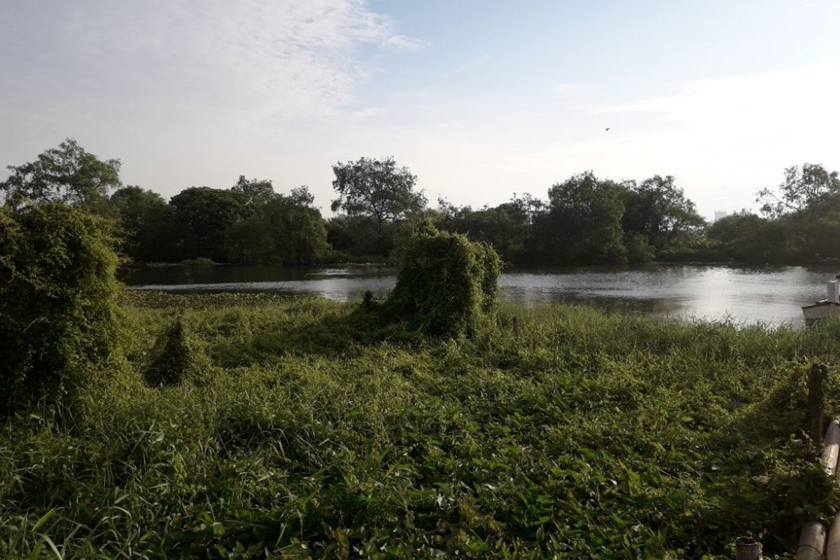 Suasana di sekitar perkampungan nelayan Muara Angke, Jakarta Utara, Rabu (20/6/2018). Muara Angke disebut menjadi habitat buaya muara di wilayah DKI Jakarta.