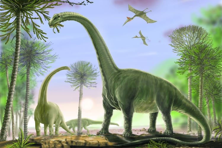 Ilustrasi titanosaurus, dinosaurus terbesar yang pernah hidup. Kelompok sauropoda, dinosaurus pemakan tumbuhan.
