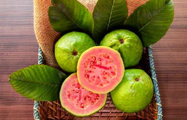Bantu Turunkan Kolesterol, Ketahui 3 Potensi Efek Samping Jambu ...