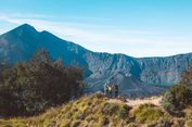 3 November, Harga Tiket Jalur Pendakian Gunung Rinjani Naik