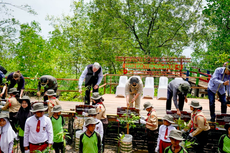 Mitigasi Krisis Iklim, Pertamina dan KLHK Tanam 231 Mangrove 