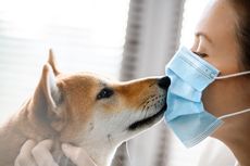Bisakah Anjing Tertular Flu Manusia?