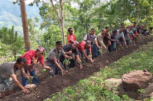 Awalnya Cuma Modal Cabut Bibit Porang di Hutan, Kini Raup Untung Rp 50 Juta dan Bisa ke Jepang