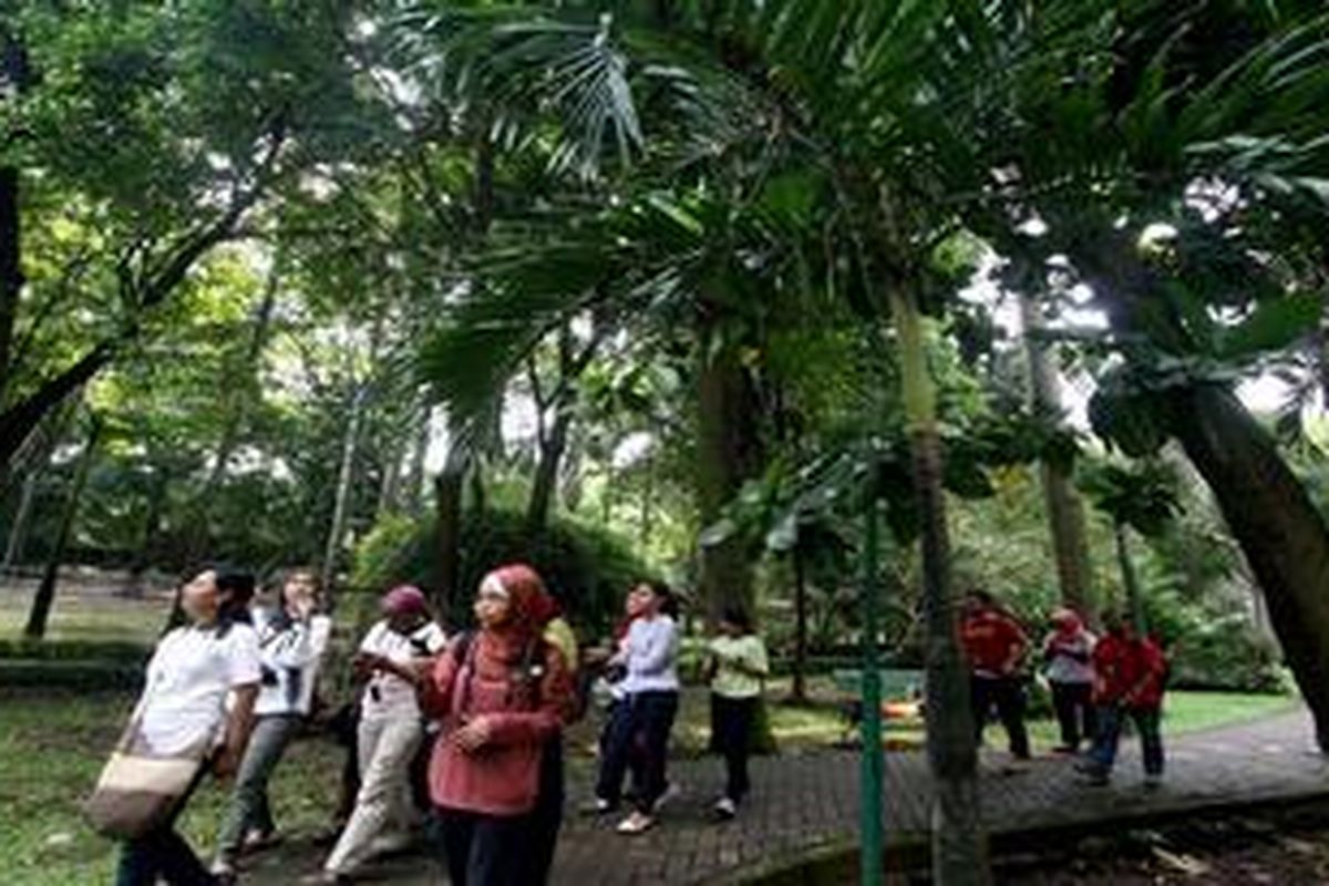 Komunitas Peta Hijau Jakarta mengajak anggota dan rekan dari beragam komunitas berjalan-jalan, mengenal biodiversitas di Taman Langsat, Kebayoran Baru, Jakarta, Sabtu (21/4/2012). Pada acara tersebut diluncurkan juga buku Memetakan "Hijau" Kota yang berisi cara membuat peta hijau dan mengenalkan 30 titik hijau di Jakarta.  