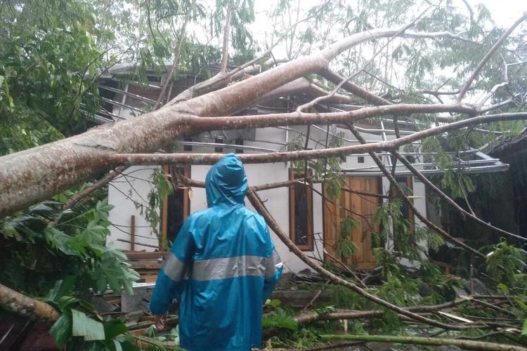 Puluhan rumah rusak tertimpa pohon tumbang akibat diterjang angin puting beliung di Kelurahan Singkup, Kecamatan Purbaratu, Kota Tasikmalaya, Jawa Barat, Selasa (11/1/2022).