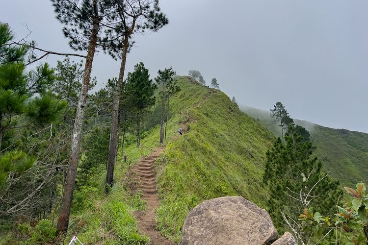 Jalur Pendakian Gunung Andong via Temu Kidul yang Lagi Ramai, Rabu (12/2/2026).