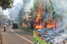 Hutan TN Bukit Barisan Selatan di Jalur Lampung-Bengkulu Terbakar, 3 Hektare Ludes