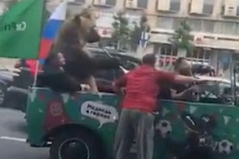 Beruang Tiup Terompet saat Perhelatan Piala Dunia Rusia