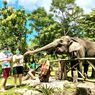 Rayakan Hardiknas, Ini 4 Wisata Edukasi Belajar Ramah Anak di Jogja