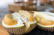 Thailand Berhasil Meningkatkan Kualitas Durian Pakai AI, Bagaimana Cara Kerjanya?