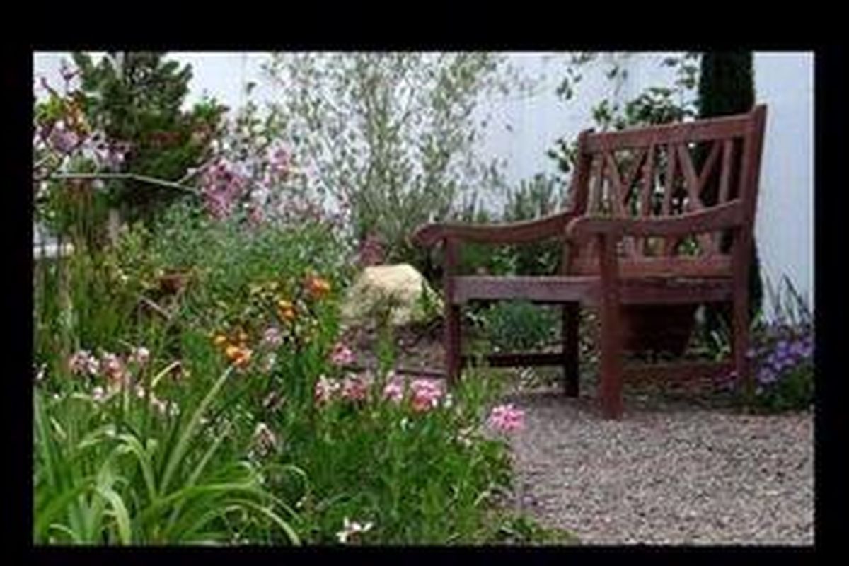 ontoh tanaman berjenis perennial yang dapat Anda tanam di rumah adalah Begonia Merah dan Tanaman Mosaik (Fittonia sp.). Untuk memperbanyak tanaman ini, Anda dapat melakukan proses perambatan.