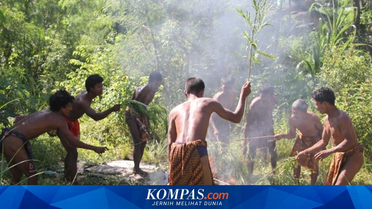 Orang Rimba Jambi Terancam Tambang Batu Bara, Ruang Hidup Justru Masuk Area Konsesi