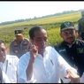 Jokowi: Harga Gabah Harus Ditentukan agar Tak Jatuh Saat Panen Raya