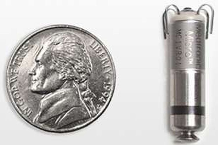 Perbandingan antara ukuran micra dengan uang koin. 