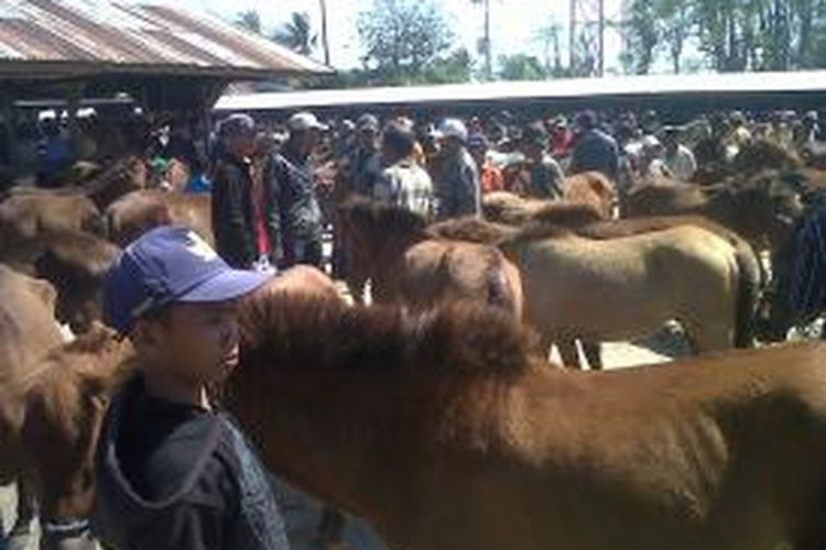 Suasana transaksi jual beli kuda di pasar Tolo', Kelurahan Tolo', Kecamatan Kelara, Kabupaten Wajo, Sulawesi Selatan. Sabtu, (29/08/2015).