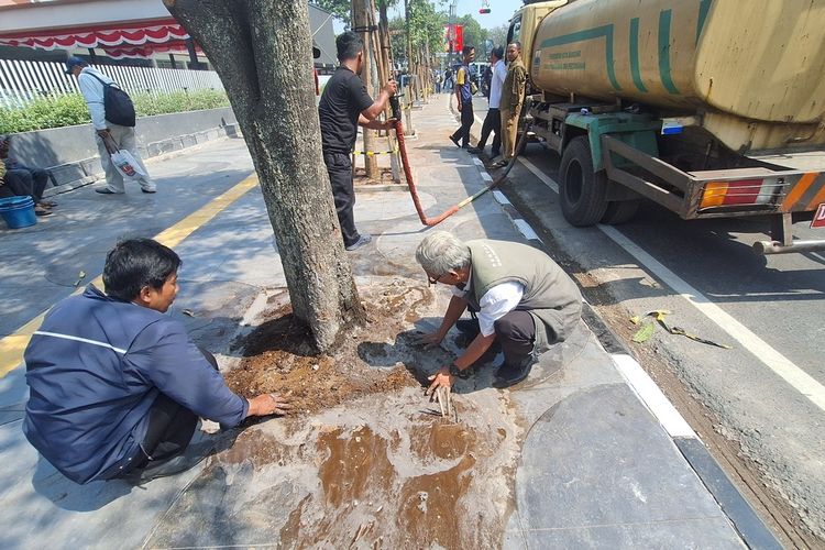 Pengusaha Videotron Sudah Bayar Denda Tebang Pohon di Cihapit Bandung Rp 100 Juta, Lokasi Kini Ditanami Ulang