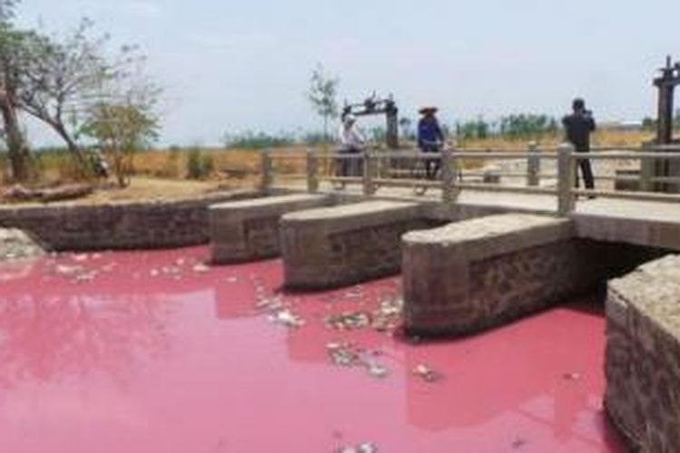 Warna air Sungai Kalikamal, Brebes, Jawa Tengah, berubah menjadi merah muda alias pink. Diduga perubahan warna ini diakibatkan limbah industri atau tambang.