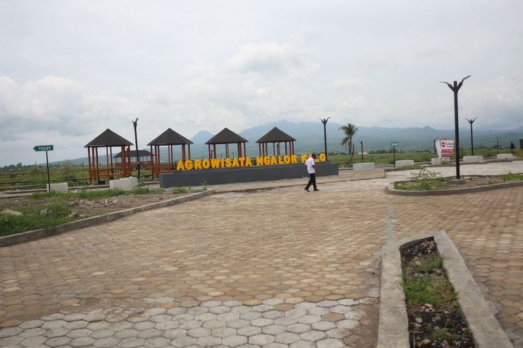 Spot wisata baru itu adalah Agrowisata Ngalor Kalo, Lembor. Agrowisata itu terletak di Desa Siru, Kecamatan Lembor, Kabupaten Manggarai Barat, NTT