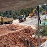 Ada 87.000 Hektar Lubang Bekas Tambang, Pohon Kaliandra Alternatif Reklamasi