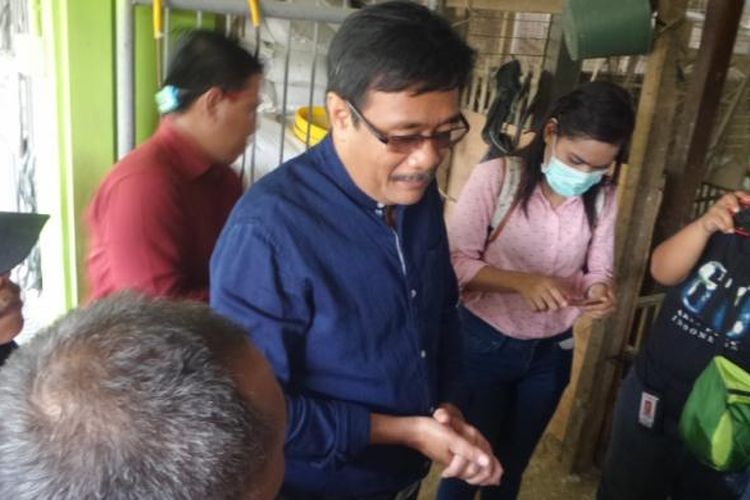 Calon wakil gubernur DKI Jakarta Djarot Saiful Hidayat saat mendatangi peternak ayam di Pulogadung, Jakarta Timur, Kamis (16/3/2017)
