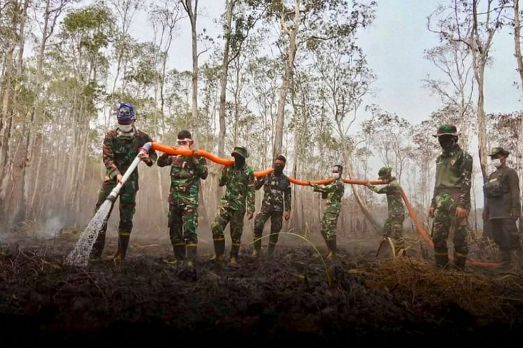 Pemerintah Diminta Maksimalkan Pemadaman Karhutla di Taman Nasional Way Kambas
