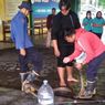 5 Ekor Ular Sanca Sepanjang 2,5 Meter Masuk Restoran di Bantul, 1 Karyawan Kena Gigitan