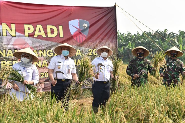 Jakarta Deputy Governor Ahmad Riza Patria and senior Indonesian Air Force officers work the land in the premises of the Halim Perdanakusuma Air Base [11/11/2020]