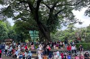 Hari Ke-2 Lebaran, Total 69.979 Orang Kunjungi Taman Margasatwa Ragunan