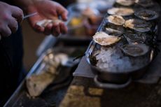 Makan Kerang dari Selat Malaka, Awas Risiko Keracunan Logam Berat
