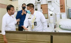 Respons Permintaan Jokowi, Kementan Kembangkan Komoditas Kelapa dan Sagu