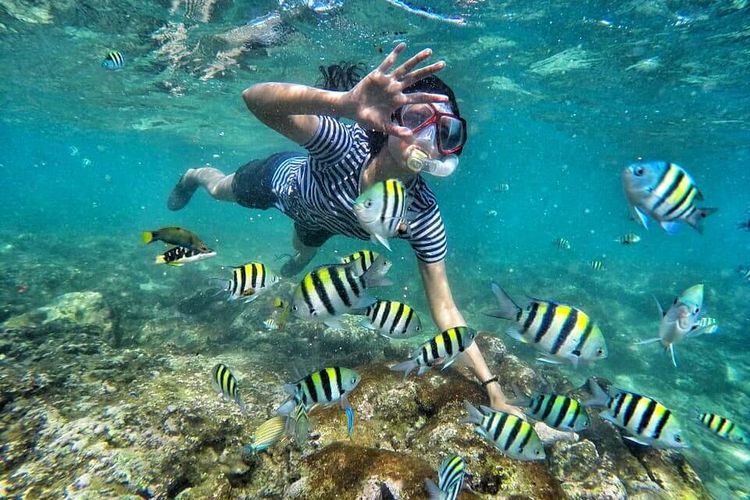 Snorkeling di Pantai Nglambor, Yogyakarta (Dok. Dinas Pariwisata Yogyakarta)