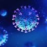 Virus Corona Penyebab Covid-19 Disebut Dapat Bertahan di Udara 8 Jam
