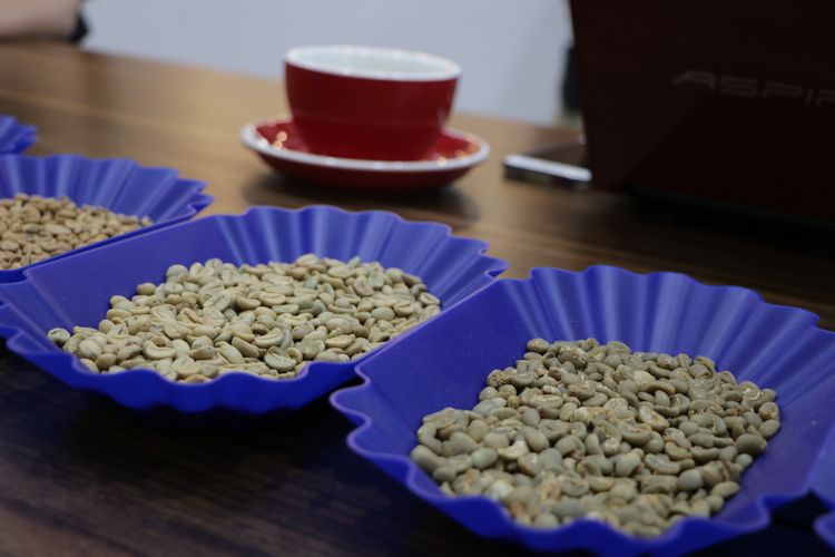 Green bean atau biji kopi mentah dari berbagai proses, yakni Natural, Semi Wash, dan Full Wash