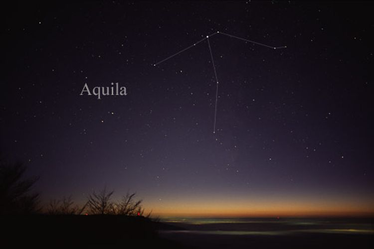 Rasi bintang Aquila