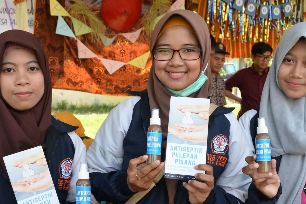 Inovasi antiseptik berbahan dasar pelepah pisang kreasi mahasiswa Undip.